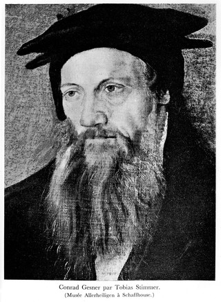 M0017443: Portrait of Conrad Gesner (1516-1565)