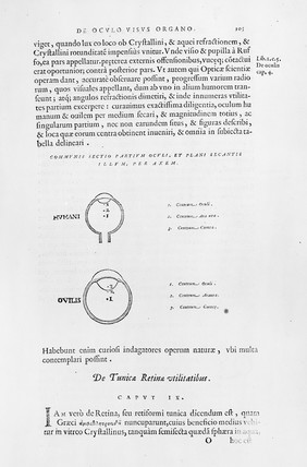 Hieronymi Fabricii ab Aquapendente De visione, voce, auditu / [Fabricius].