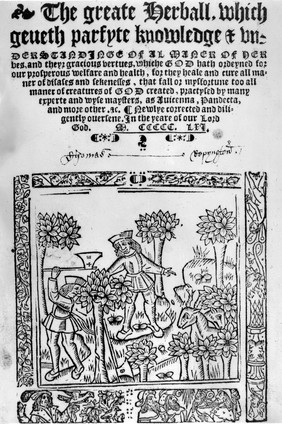 The grete herball whiche gyueth parfyt knowlege and vnderstandyng of all maner of herbes and there gracyous vertues ... Also it geveth parfyte vnderstandynge of the booke lately prynted by me (Peter treueris) named the noble experiens of the vertuous handwarke of surgery.