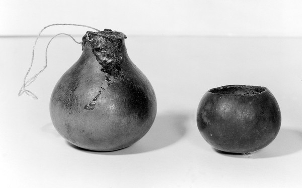 Gourds containing curare.