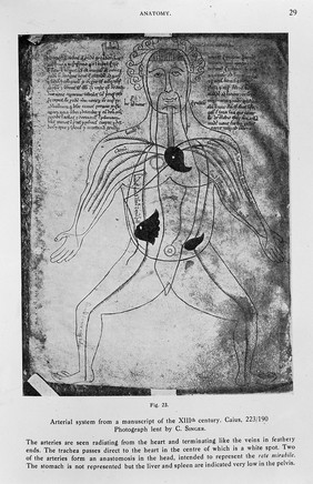 The Arterial System, from Atlas of the History of Medicine