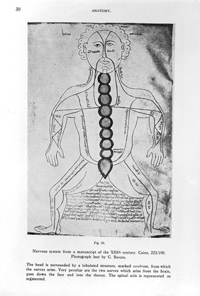 M0017745: The osseous system, from de Lint: <i>Atlas of the History of Medicine</i>