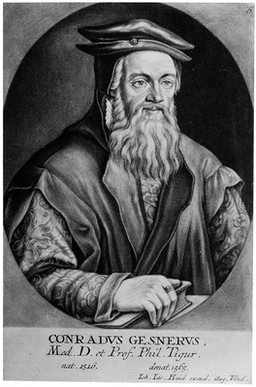 Conrad Gesner. Mezzotint by J. J. Haid, 1747.