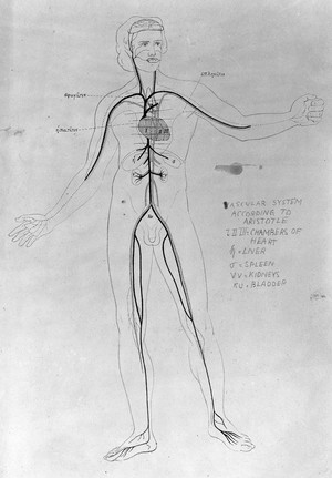 view Aristoteles Thierkunde, 1868: Vascular system