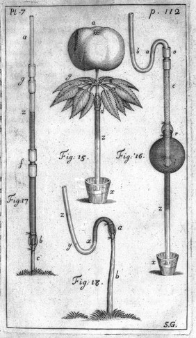 Statical essays: containing vegetable statics; or, an account of some statical experiments on the sap in vegetables ... Also a specimen of an attempt to analyse the air / [Stephen Hales].