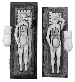 Anatomical figures in ivory; 2 females.