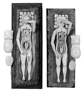 Anatomical figures in ivory; 2 females.