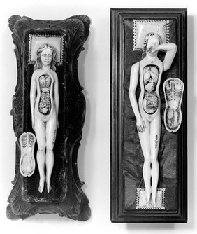 Anatomical figures in ivory; 2 females.