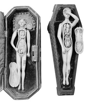 view Anatomical figures in ivory; 2 females.