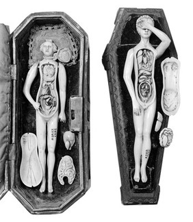 Anatomical figures in ivory; 2 females.