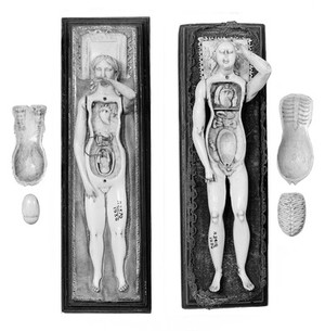 view Anatomical figures in ivory; 2 females, layer removed