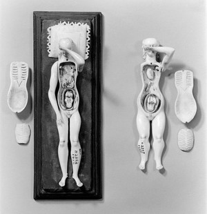 view Anatomical figures in ivory; 2 females, layer removed