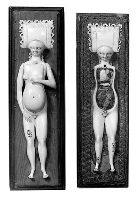 Anatomical figures in ivory; 2 females
