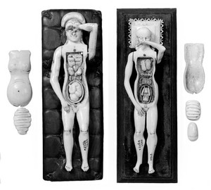 view Anatomical figures in ivory; 2 females, layer removed