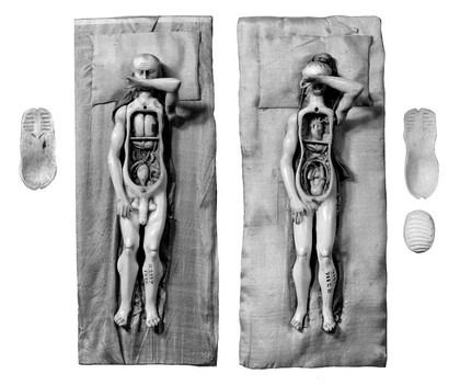 Anatomical figures in ivory; 1 male and 1 female.