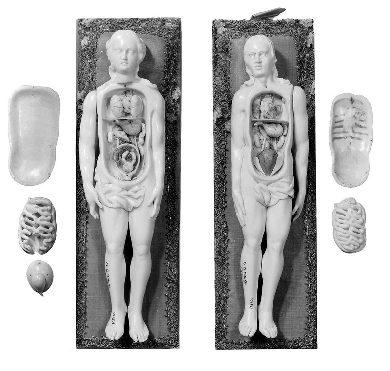 No text description is available for this image