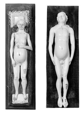 Anatomical figures in ivory; 1 male and 1 female