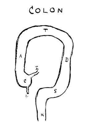Diagram of the colon