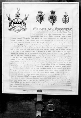 Lister, Patent of Arms of Peerage of the Realm