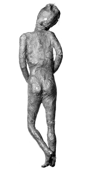 view Japanese anatomical figure covered with human skin.