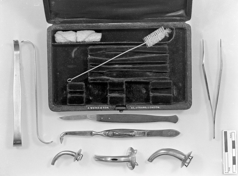 No text description is available for this image