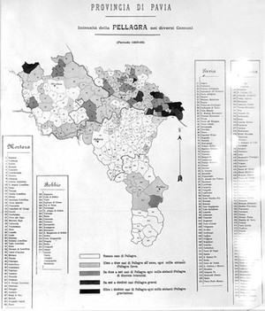 view Map: incidence of pellagra in Pavia province, Italy.