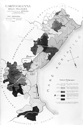 Map: incidence of pellagra in Northwest Italy.