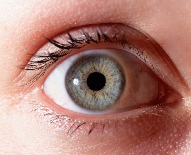 normal-eye-close-up-wellcome-collection