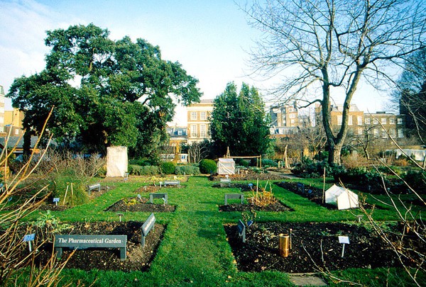 Pharmaceutical beds at Chelsea Phy Garden