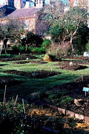 view Pharmaceutical beds at Chelsea Phy Garden