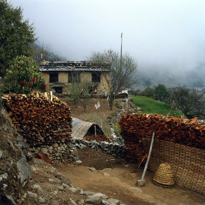 Nepal; deforestation in the Khumbu, 1986. Stacked firewood outside a Sherpa house at Phakding (altitude 3200 metres). Also shown are carrying baskets (bottom right) and prayer flags attached to thin sticks stuck into the ground. In common with many smallholdings, the ground floor of the house is reserved for animals while the family lives upstairs. By the early 1980s, it was estimated that massive deforestation was contributing to the loss of 240 million cubic metres of topsoil in Nepal each year. Sherpas rely on wood for fuel but lack of chimneys in most homes contribute to the coughs and bronchial congestion common to most. Poor hygiene is prevalent because precious wood must be destroyed to create hot water.
