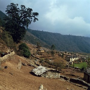 view Nepal; agriculture and subsistence in the Khumbu, 1986. Area as N0022565. Farmland on the lower slopes of the Himalayas (altitude 2900 metres). Sherpas are Buddhists and their houses are surrounded with prayer sticks flying cloth flags. A sherpa group with yaks travel along