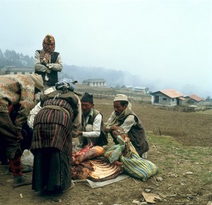 view Nepal; travelling butcher in the Khumbu, 1986. Well-dressed Sherpas buying yak meat from butcher, near Lukla (altitude 2827 metres). Meat is not generally eaten by Sherpas who are Buddhists, adhering to the oldest, unreformed sect of Tibetan Buddhism known as Kar-gyud-pa. Buddhists make up about 5.3% of Nepal's population whilst 89.5% are Hindu. The cultural heritage of the Sherpas, however, has always remained with Tibet.