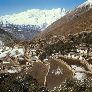 view Nepal; agriculture in the Khumbu, 1986. Pangboche (altitude 4200 metres), showing the tiny, walled terraced fields on which Sherpas cultivate their staple crops (potatoes, barley, wheat). Potatoes are rarely grown beyond 4000 metres but barley is grown at higher altitudes. Scattered juniper and birch trees share this terrain with sub-alpine grasses. Few people live permanently beyond this village amid the last scattered trees below the treeline.