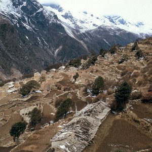 view Nepal; agriculture in the Khumbu, 1986. As N0022569C, different aspect. Pangboche (altitude 4200 metres), a view of the village with its walled, terraced fields. The houses are built with their backs to the mountain. Only the fronts have windows and doors.