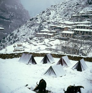 view Nepal; town life in the Khumbu, 1986. As N0022572C. Namche Bazar (altitude 3446 metres) under snow. The climate in the Khumbu can be harsh and unpredictable. The tents in the foreground belong to a European mountaineering expedition. The yaks are unperturbed.