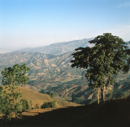 Nepal; Kathmandu Valley, 1986. The Kathmandu Valley is situated in Nepal's Hill Region ('Pahar' in Nepali - altitutides 1000-4000 metres), and is the country's most fertile and urbanised area as well as being its political and cultural centre. The hills, sculpted into a vast complex of terraces, are extensively cultivated. Hill farmers produced food staples, mostly rice and corn, although this is still a food-deficit area. Other crops include wheat, millet, barley, sugarcane, tobacco, potatoes and oilseed. The climate is mild with summer temperatures reaching 30 degrees C and winter temperatures about 10 degrees C. The most common trees are oak, alder, jacaranda and rhododendron.