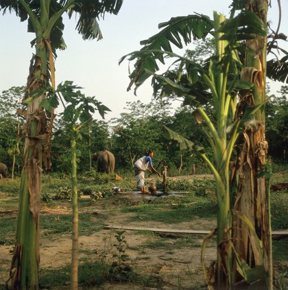Nepal; village pump in the Terai, 1986