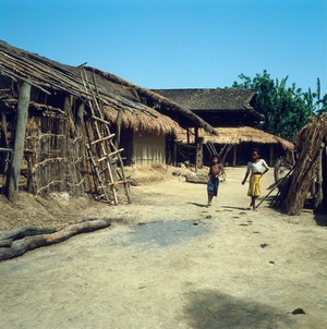 view Nepal; village in the Rapti Valley, Terai, 1986