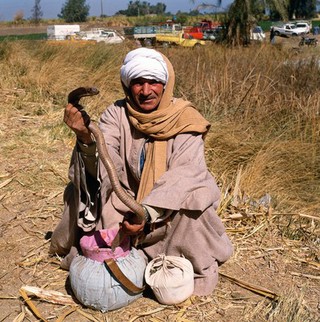 Snake charmer holding an Egyptian cobra (<I>Naja haje</I>), whose venom immobolises its prey by attacking the nervous system. The Brooklyn Museum Papyri from Ancient Egypt includes a book of snakebites which describes all the possible snakes to be found in Egypt with a compendium of treatments. The papyri were translated in 1966-1967 by Serge Sauneron.