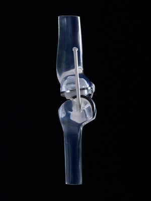 view Glass knee