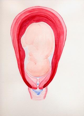 Effacement and dilatation of the cervix before birth