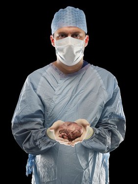 White male surgeon holding a heart (animal)