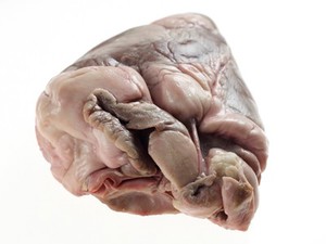 view A Pig's Heart