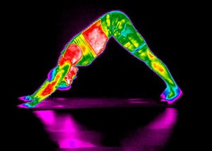 view Yoga practice illustrated with thermography