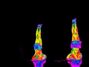 view Yoga practice illustrated with thermography