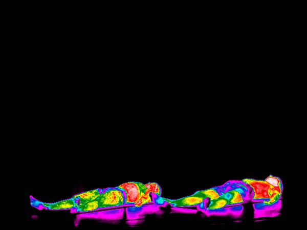 Yoga practice illustrated with thermography