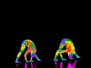 view Yoga practice illustrated with thermography