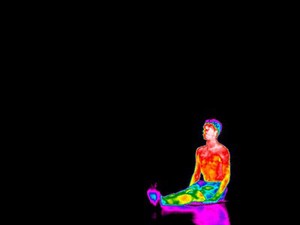 view Yoga practice illustrated with thermography