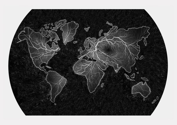 World map in the form of an FFA of the retina